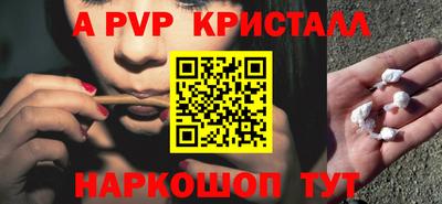 индика Тула