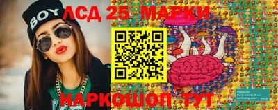 индика Тула