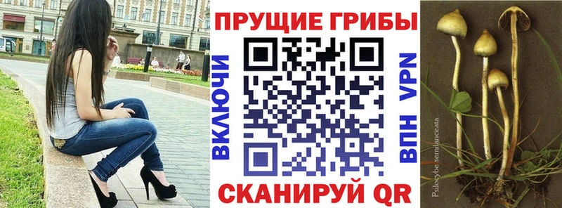 Псилоцибиновые грибы Magic Shrooms  Новозыбков 