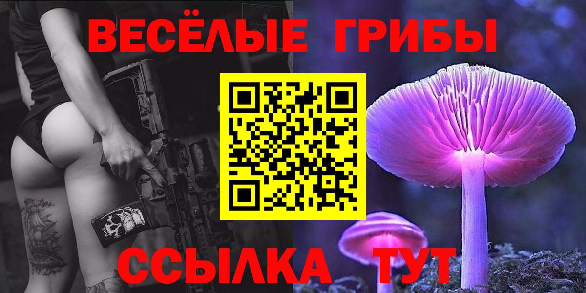 Галлюциногенные грибы мухоморы  Вход с VPN  Новозыбков 