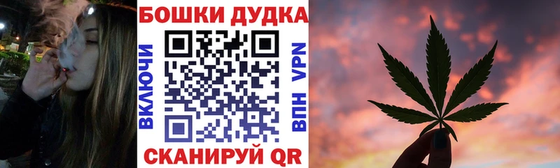 MEGA как войти  Новозыбков  Конопля OG Kush 